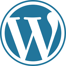 WordPress development digital solution services Pakistan